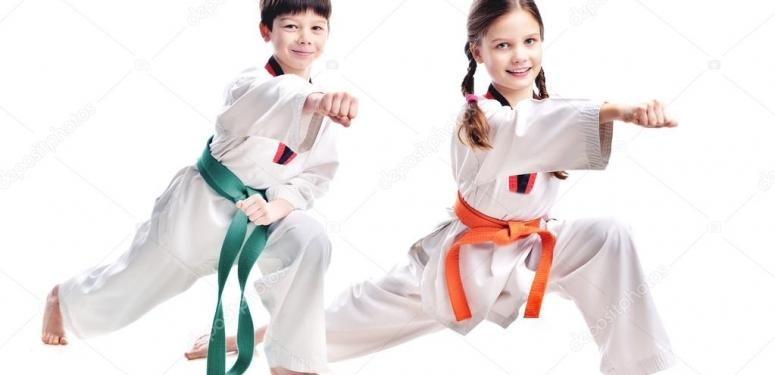 BURSA TAEKWONDO SALONU