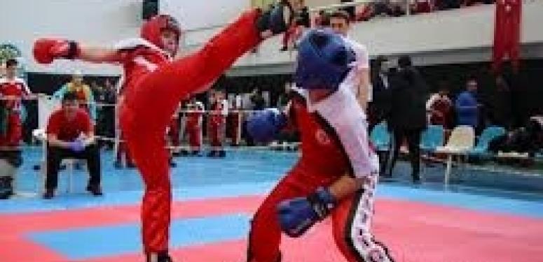 Dövüş Sanatları Nedir?