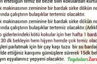 Sirkenin İnanılmaz Faydaları